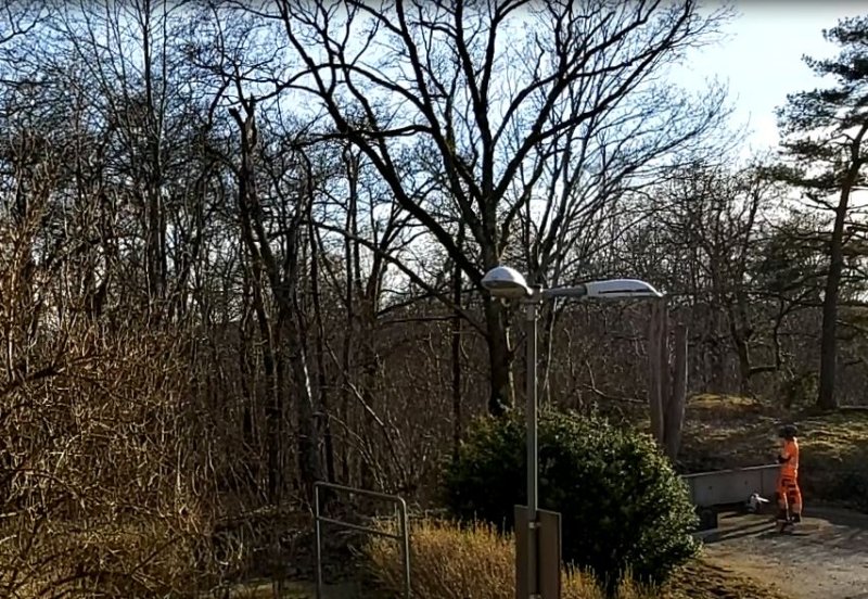 Bj&ouml;rken dras omkull