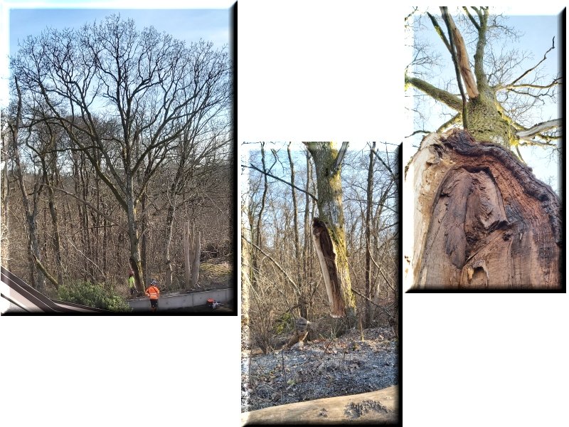 Grenen &auml;r nedtagen